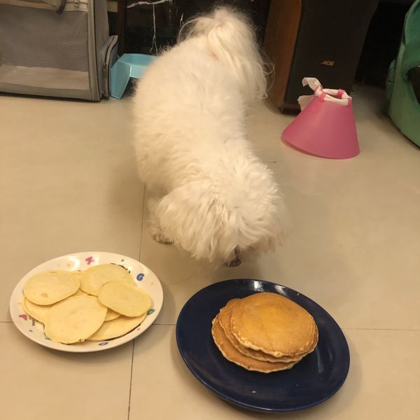 【早餐/甜點】熱香餅/鬆餅Pancake:氙 一起做