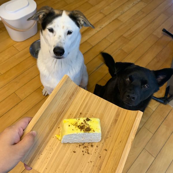 undefined：Demi Luan 一起做