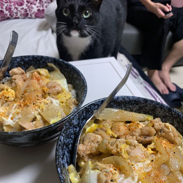 親子丼 : Baggy Mao一起做