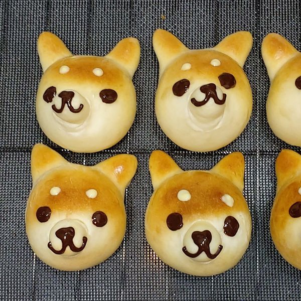 柴犬麵包 : Jean Wu🥰一起做