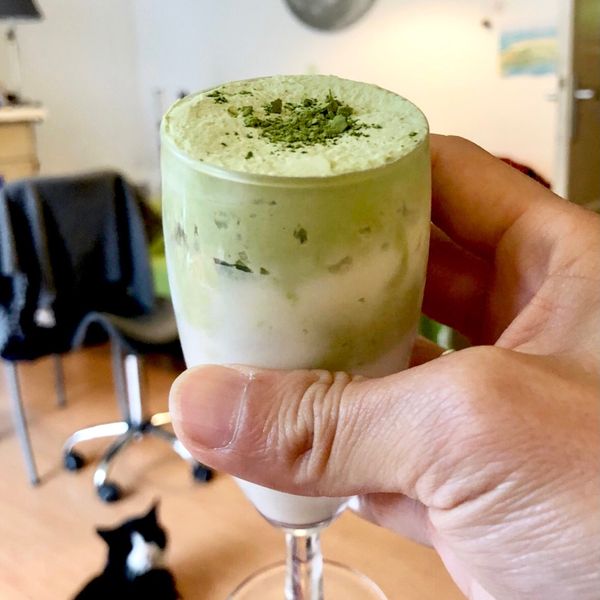 抹茶奶蓋🎶：Justine Dai 一起做