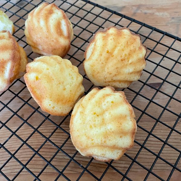 貝殼瑪德蓮小蛋糕：Milly Yu 一起做