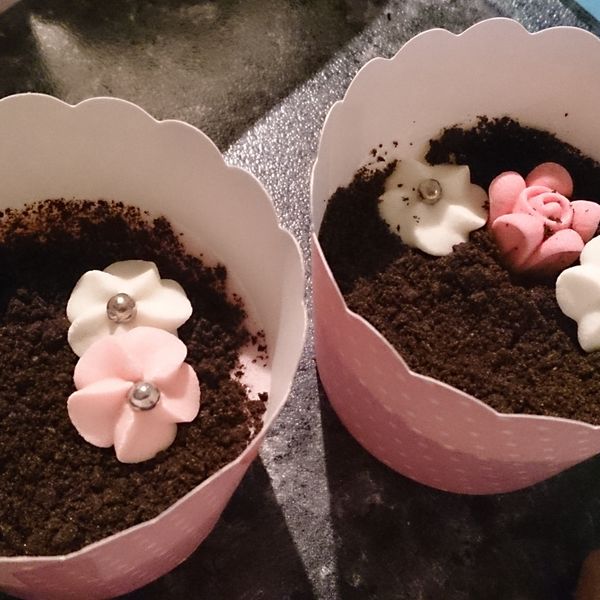 【棉花糖牛奶慕斯盆栽】 : Sinuria Chung一起做