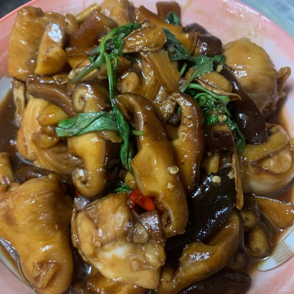 undefined：貓小咪 一起做