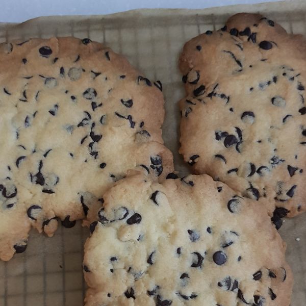 undefined：金金寶 一起做