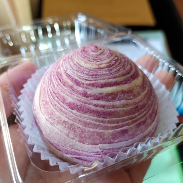 undefined：Poni Lee 一起做