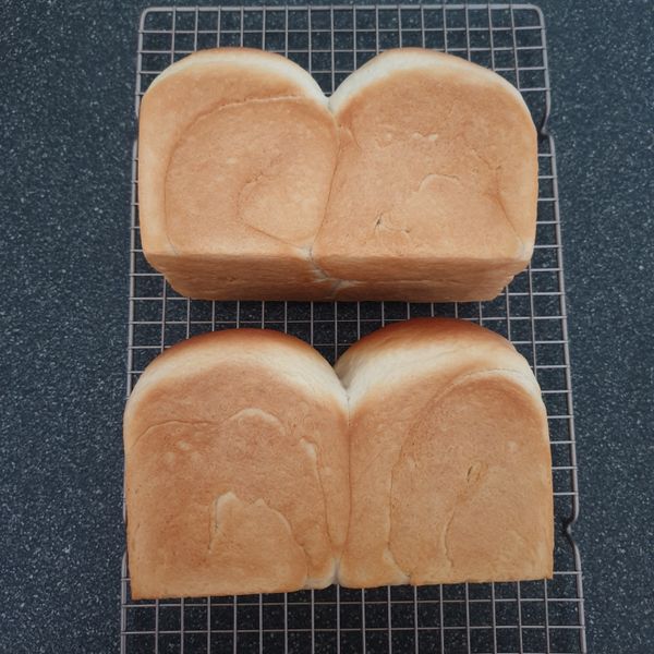 豆漿吐司(烘焙料理) : Virginia Huang一起做