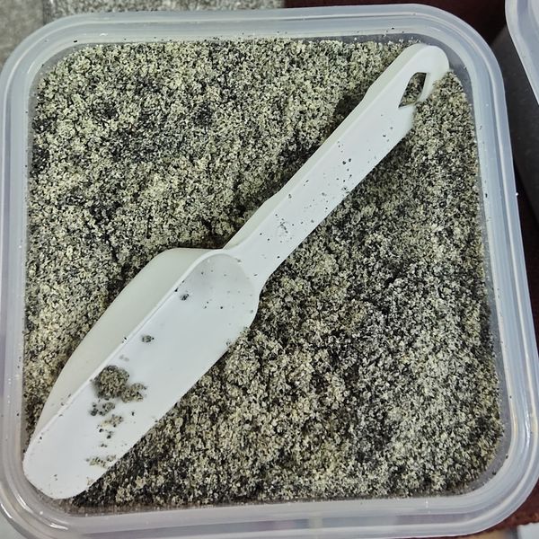 芝麻粉 : chillikang一起做