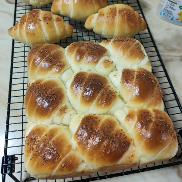 undefined：靈芝草 一起做