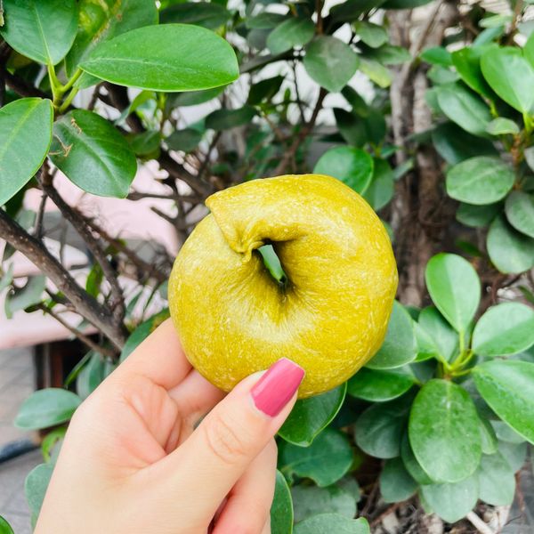 抹茶貝果 : 飽脹女孩一起做