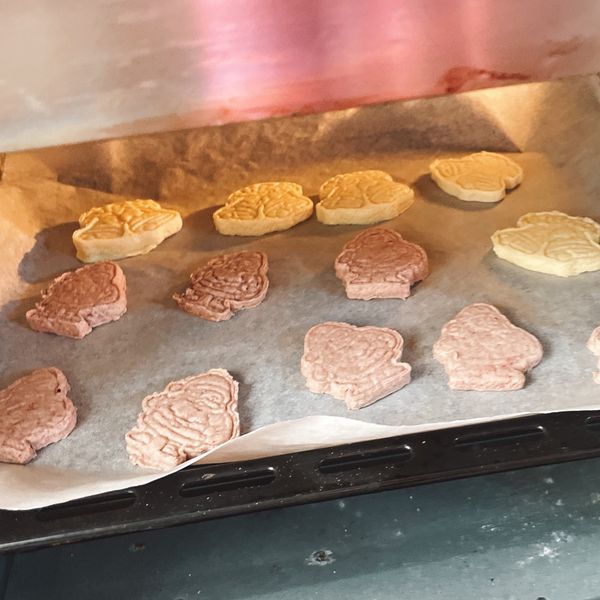 《應景聖誕》聖誕拐杖&聖誕手套造型餅乾：貓 一起做