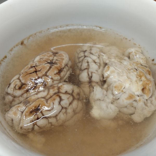 古早味豬腦湯：提拉米蘇ˇ 一起做