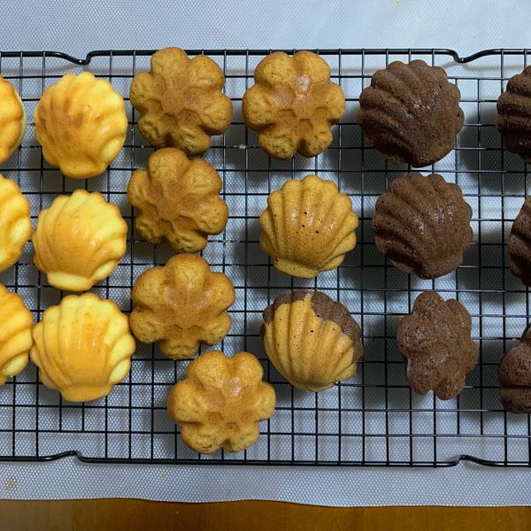 貝殼瑪德蓮小蛋糕 : Tingo一起做