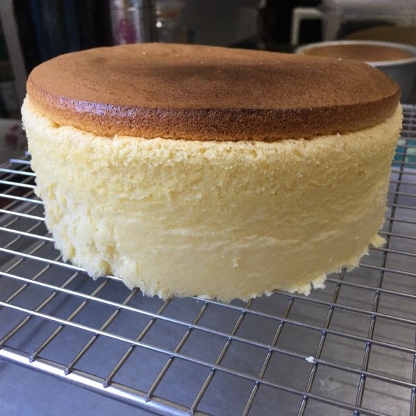 起司片棉花蛋糕 8吋無奶油、燙麵水浴烘烤 : 惠惠一起做