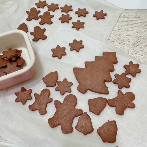 聖誕節餅乾~part 3 : Ann Lee一起做