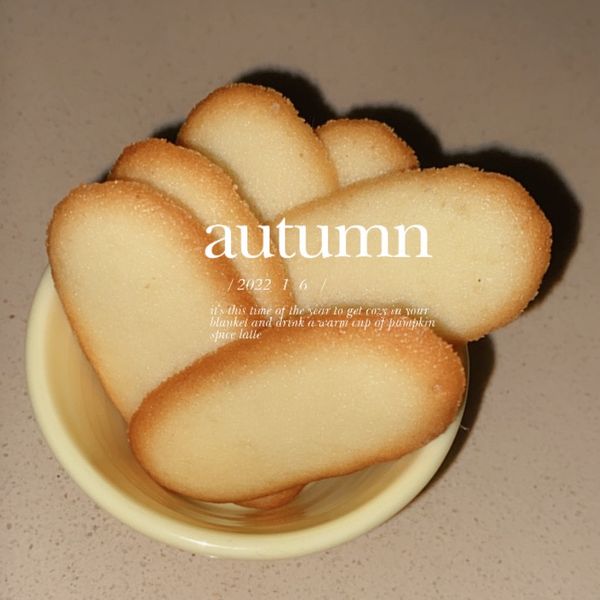 法式貓舌頭餅乾, Easy : 小野一起做