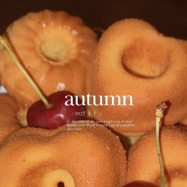 蜂蜜瑪德蓮 : 小野一起做