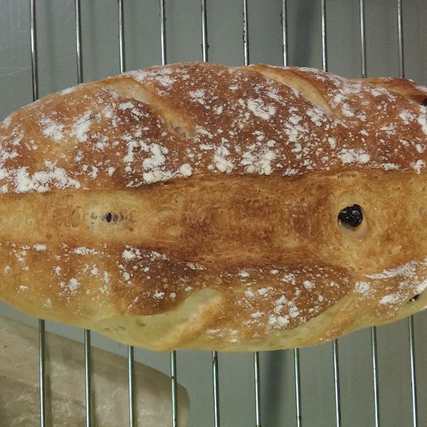 【烘培筆記】免揉。鄉村麵包 : Gale Ho一起做