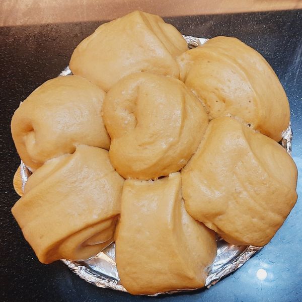 undefined：小倉鼠 一起做