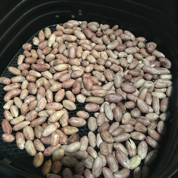 飛利浦氣炸鍋-炒花生-東寧門市 : season一起做