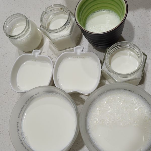 要失敗很難的鮮奶酪（葷食） : 蔡宛真一起做