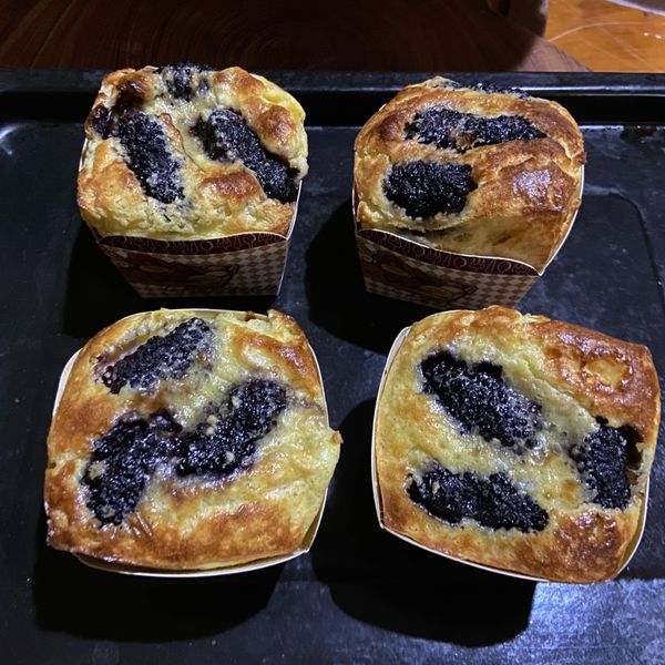 生酮 桑葚克拉芙緹 : 吳依穎一起做