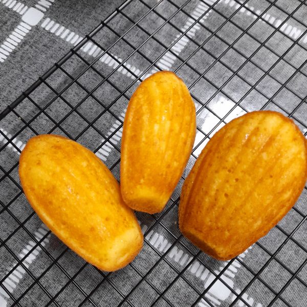 貝殼瑪德蓮小蛋糕：洪千惠 一起做