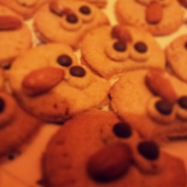 貓頭鷹餅乾 : Lea Lo一起做