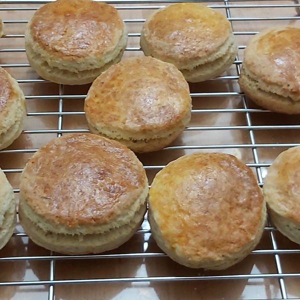 undefined：H.Y 一起做