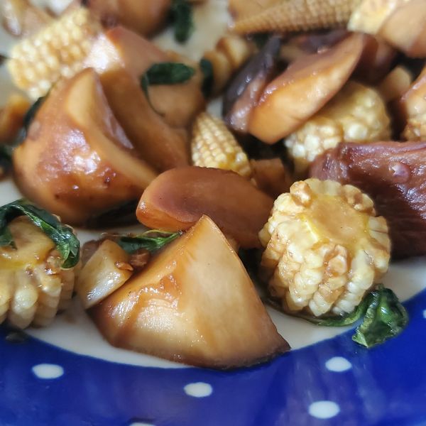 undefined：Ritameow 一起做