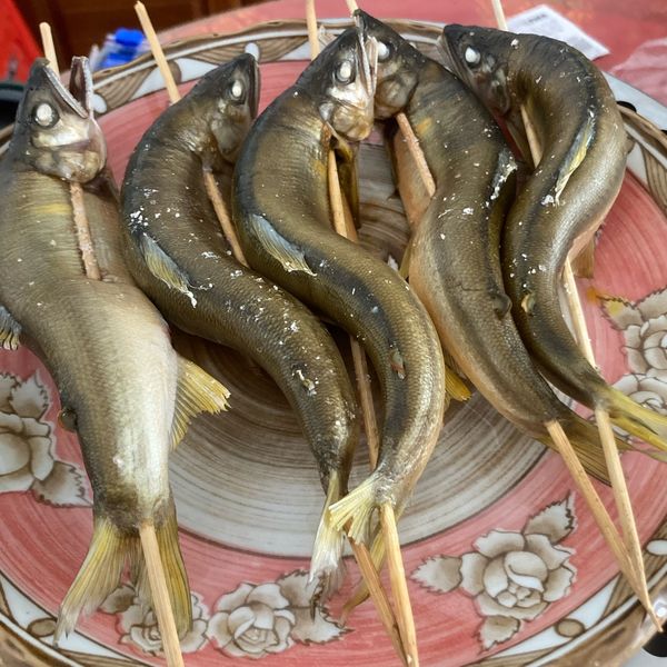 undefined：ShawnChang 一起做