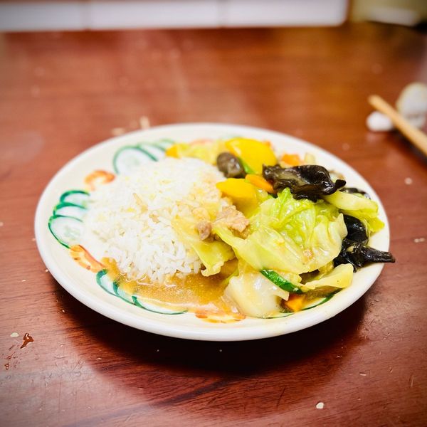家常時蔬豬肉燴飯：玩泥沙0913 一起做