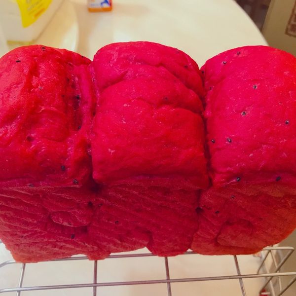 undefined:Tracy 一起做