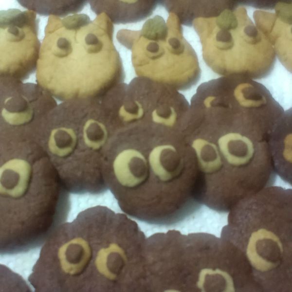 【肉桂打噴嚏】可愛的龍貓♥造型餅乾：林維娟 一起做