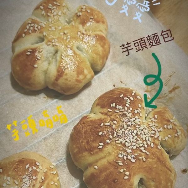 undefined：Amber Cat 一起做