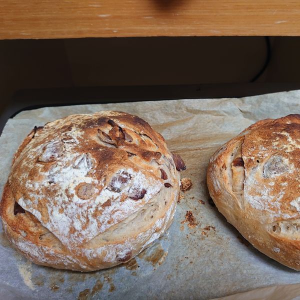 免揉紅酒桂圓歐式麵包 : Primo Chen一起做