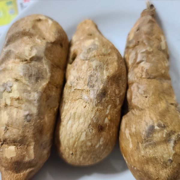 氣炸地瓜🍠：若曦 一起做