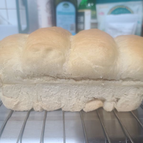 全麥牛奶吐司🍞:Huang Wen Wen 一起做