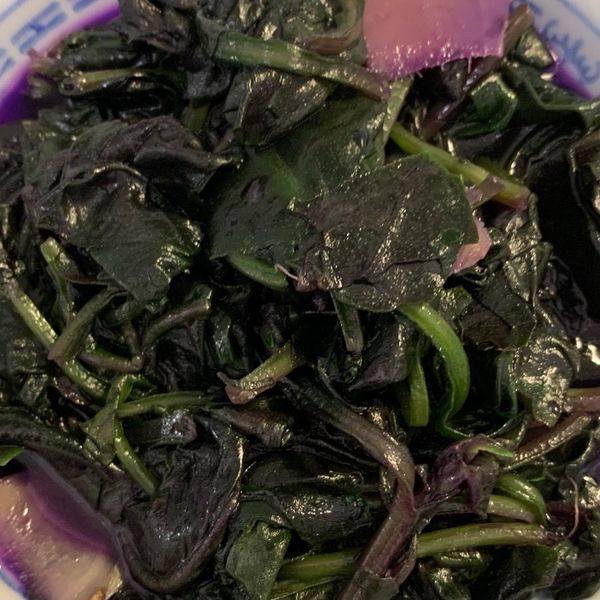 undefined：Judy Yang 一起做