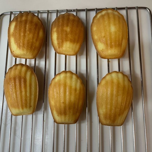 貝殼瑪德蓮小蛋糕：陳佩柔 一起做