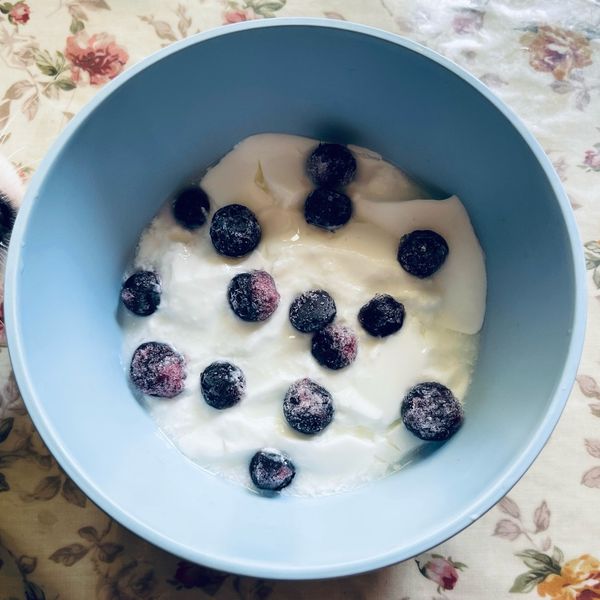 自製優格：♡Chen Angel♡ 一起做