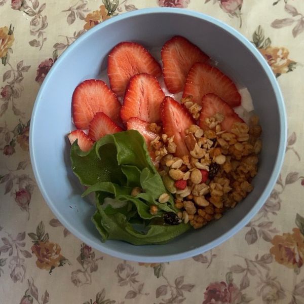 自製優格：♡Chen Angel♡ 一起做