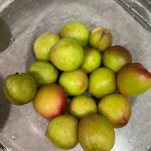 undefined：蔣浩然 一起做