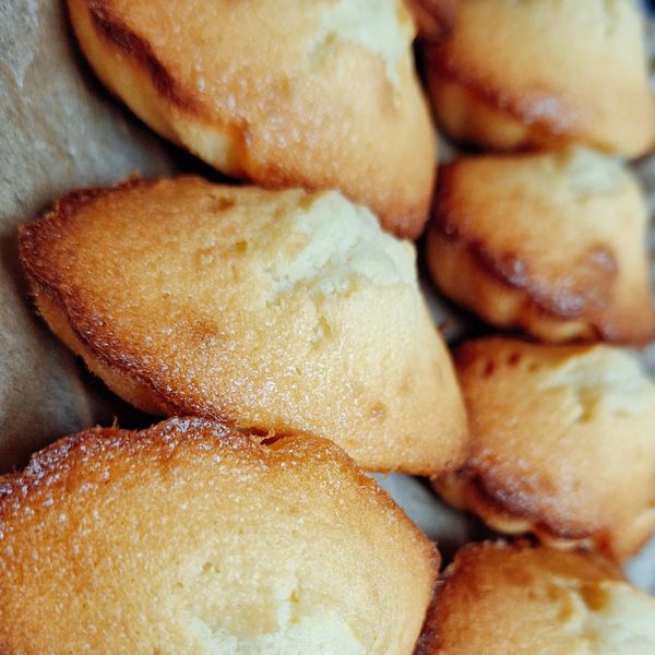 原味瑪德蓮 (Madeleine):暄 一起做