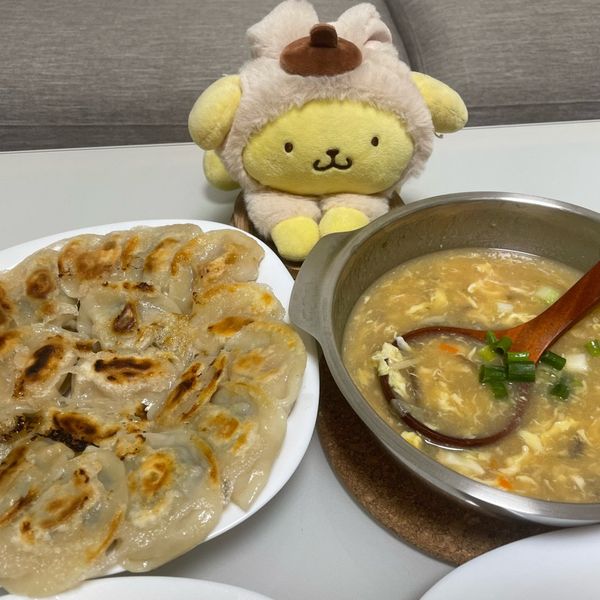 undefined：胖胖噗寧每一天 一起做