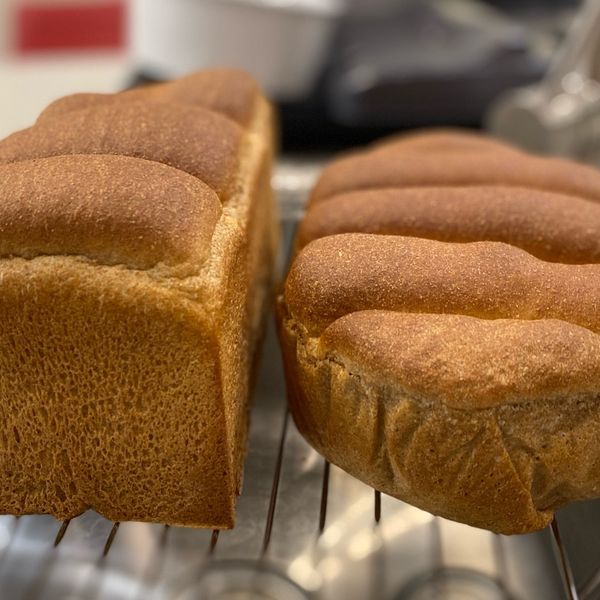 100%全麥土司-綿軟帶彈性 : Shalen 一起做