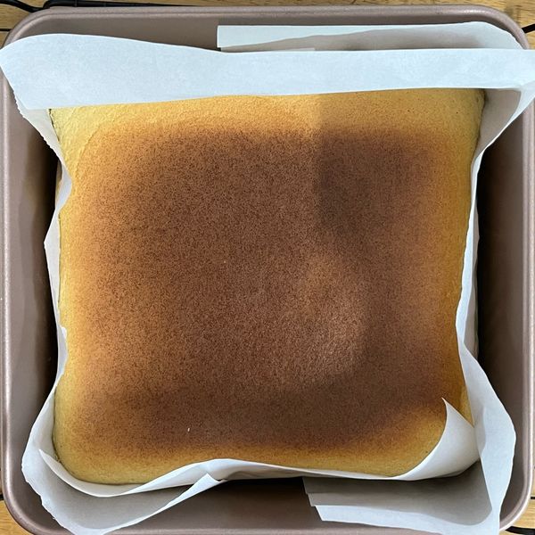 棉花蜂蜜蛋糕 : Tingo一起做