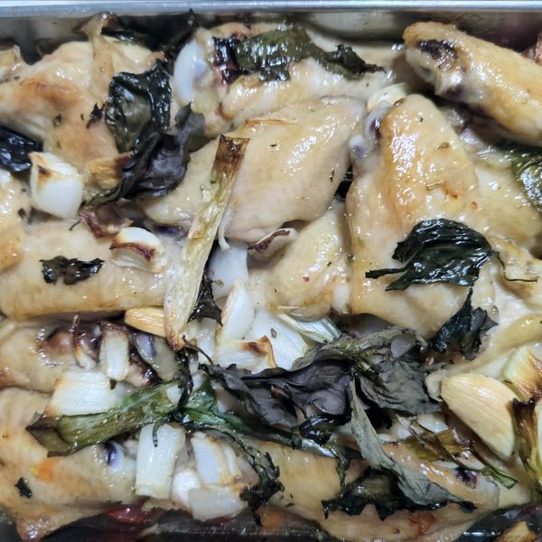 undefined：jasperfon 一起做