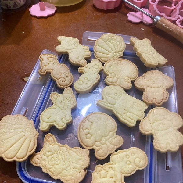 undefined：謝加菲 一起做