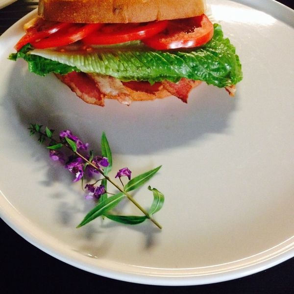 【7/食】 烤雞BLT三明治 : Joseph Lee一起做